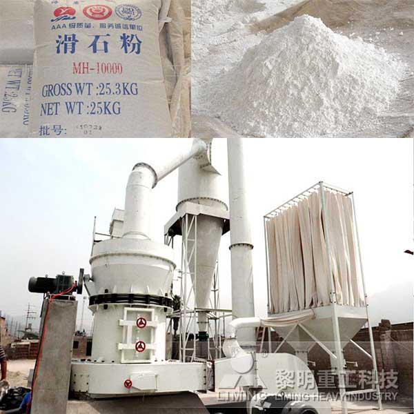 滑石雷(léi)蒙磨粉機